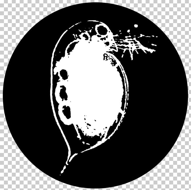 Daphnia Pulex Daphnia Magna Moina PNG, Clipart, Black And White, Brand, Circle, Common Water Fleas, Computer Free PNG Download