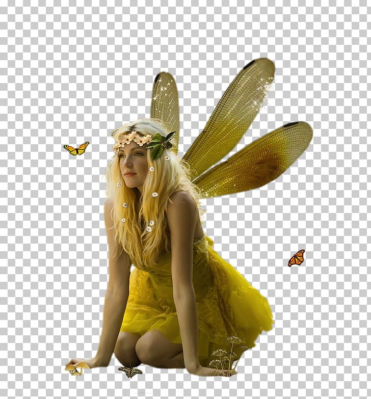 Fairy Elf Fantasy Pixie Drawing PNG, Clipart, 3 June, 7 June, 20 May, Art, Concept Free PNG Download