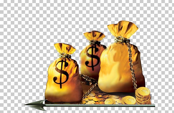 Money Bag with Dollar Sign Illustration 11617868 PNG