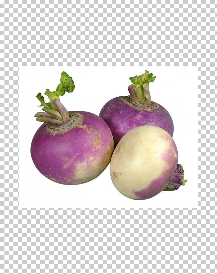 Turnip Pasty Vegetable Daikon Rutabaga PNG, Clipart, Beet, Beetroot, Cabbage, Daikon, Food Free PNG Download