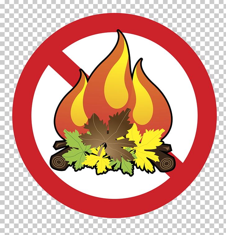 Computer Icons Fire Png Clipart Artwork Backyard Burn Campfire Cartoon Free Png Download