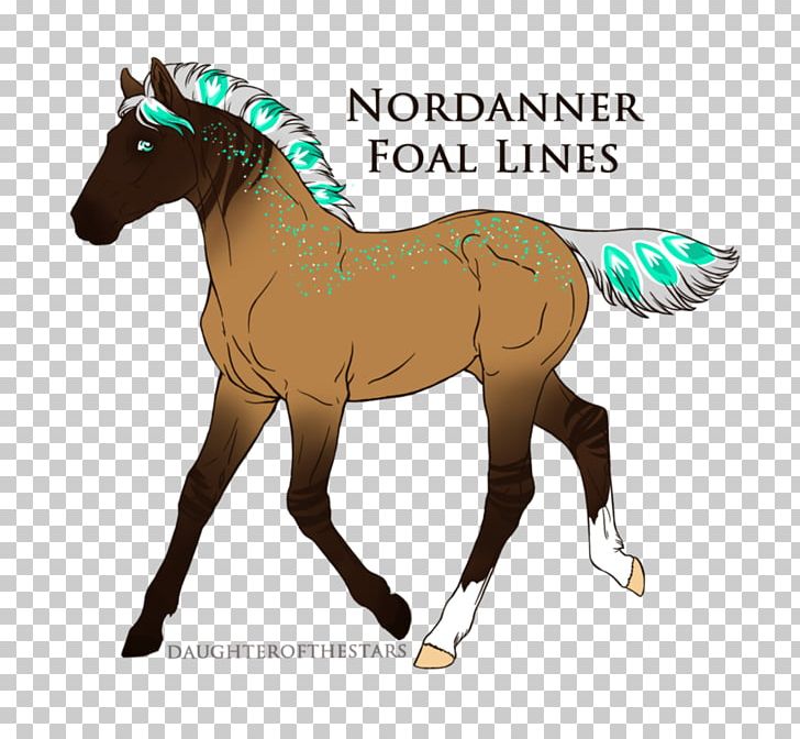 Foal Pony Mustang Stallion Colt PNG, Clipart, Animal Figure, Bridle, Buckskin, Colt, Flaxen Gene Free PNG Download