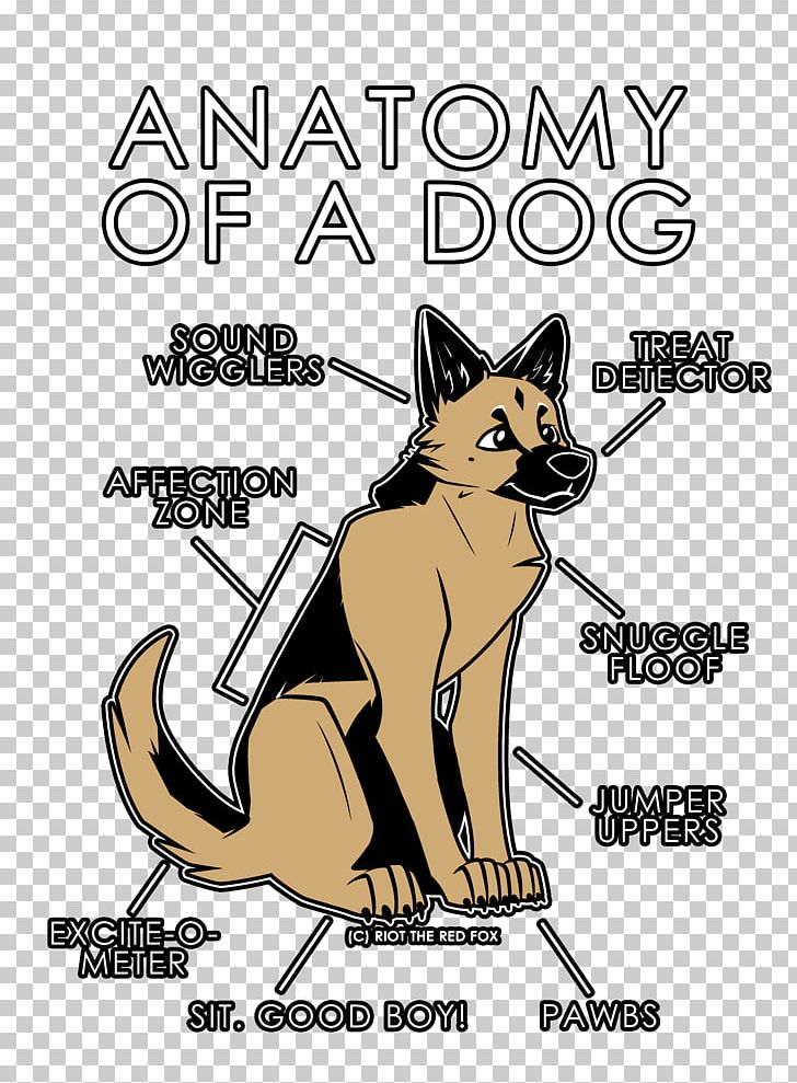 Cat Dog Anatomy Fox PNG, Clipart, Anatomy, Animals, Art, Boy, Canidae Free PNG Download