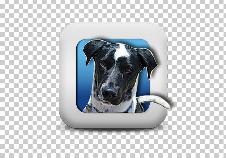 Dog Breed Great Dane YouTube Game Gazima GmbH PNG, Clipart, Carnivoran, Circle, Dice, Dog, Dog Breed Free PNG Download