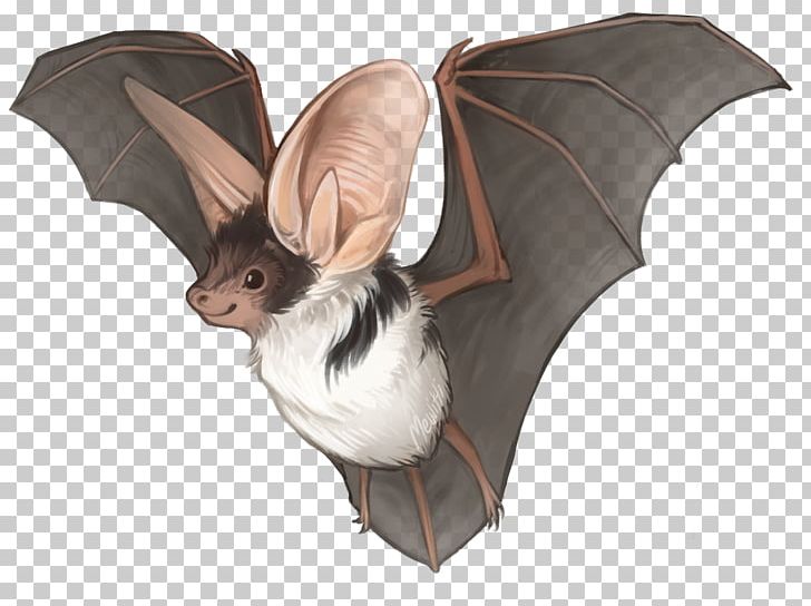 Kitti's Hog-nosed Bat Drawing Spotted Bat Common Vampire Bat PNG, Clipart, Animal, Animals, Art, Bat, Batty Free PNG Download