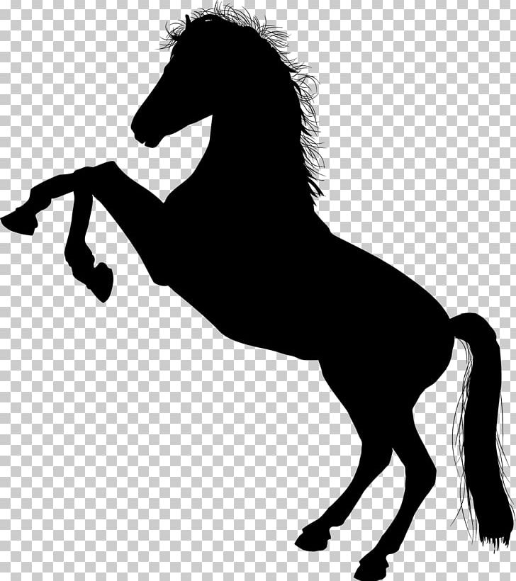 Standing Horse Stallion Rearing PNG, Clipart, Animals, Black, Black And White, Collection, Colt Free PNG Download