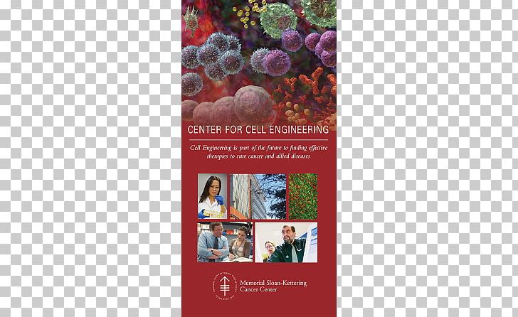 Brochure Art Cell Hematology PNG, Clipart, Advertising, Annual Report, Art, Art Director, Brochure Free PNG Download