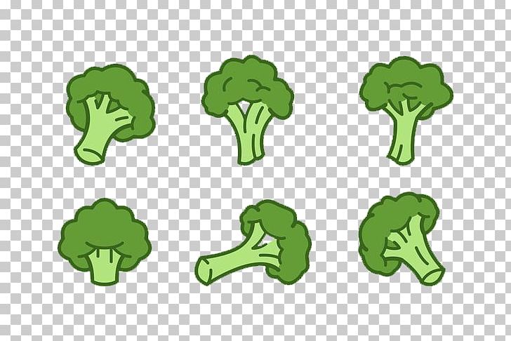 Cauliflower Broccoli Vegetable PNG, Clipart, Broccoli, Cartoon, Cartoon Cauliflower, Cauliflower, Cauliflower Frozen Free PNG Download