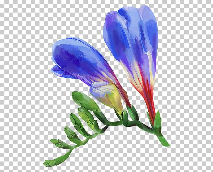 Portrait Photography Portrait Photography Photographic Film Photographer PNG, Clipart, Crocus, Flower, Flowering Plant, Imagery, Light Free PNG Download