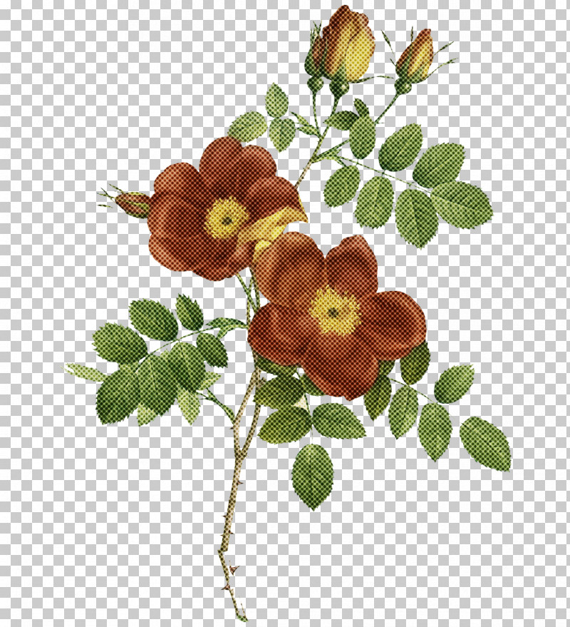 Floral Design PNG, Clipart, Creative Work, Creativity, Floral Design, On Line Exhibition Free PNG Download