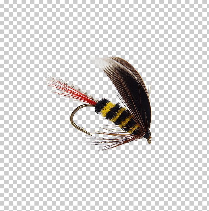 Insect Bee Fly Isonychia Holly Flies PNG, Clipart, Animals, Artificial Fly, Bee, Email, Fishing Bait Free PNG Download