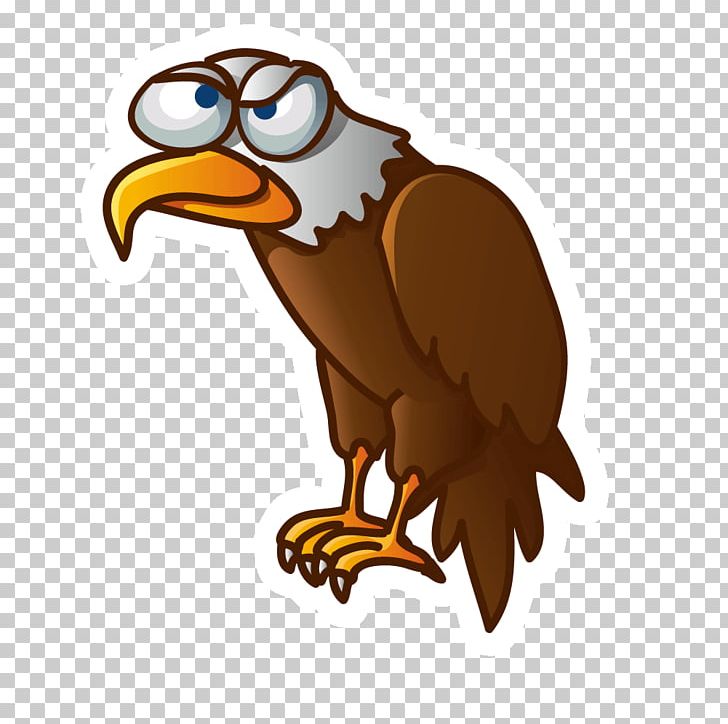 Vulture Cartoon Bird Illustration PNG, Clipart, Animal, Animation, Bald Eagle, Beak, Bird Free PNG Download