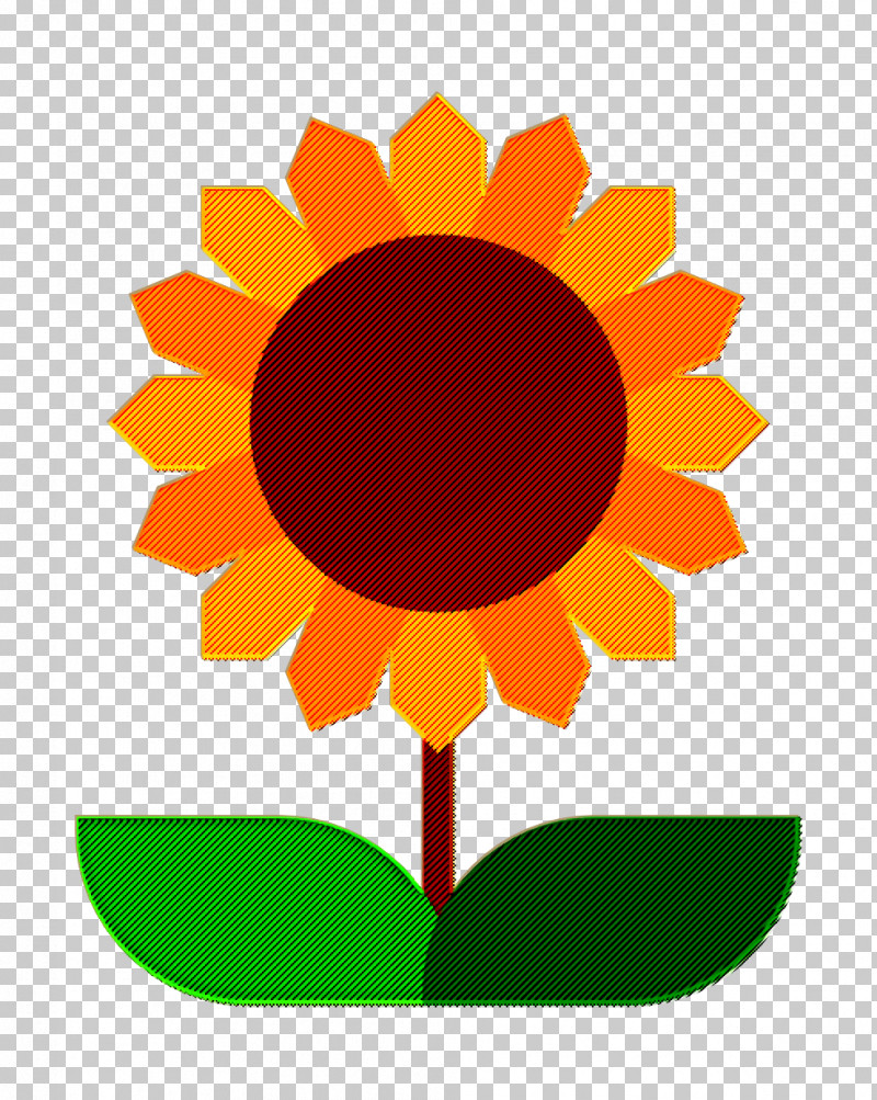 Sunflower Icon Farming And Gardening Icon Flower Icon PNG, Clipart, Daisy Family, Farming And Gardening Icon, Flower, Flower Icon, Sunflowers Free PNG Download
