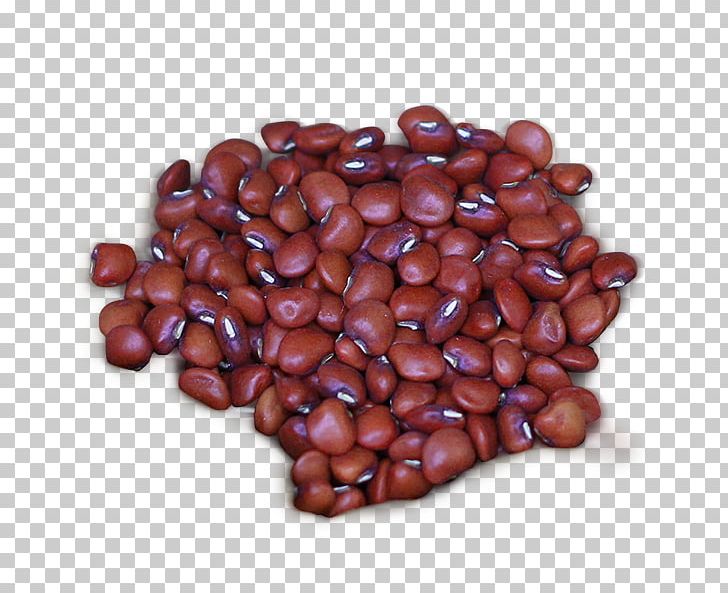 Adzuki Bean Ricebean Vegetable Food PNG, Clipart, Adzuki Bean, Azuki Bean, Bean, Chocolate Coated Peanut, Commodity Free PNG Download