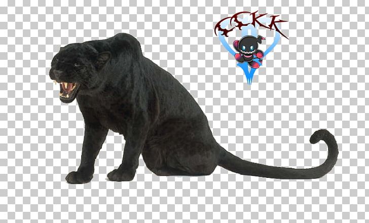 Black Panther Leopard Cougar Animal Homo Sapiens PNG, Clipart, Animal, Animal Figure, Big Cat, Big Cats, Black Panther Free PNG Download