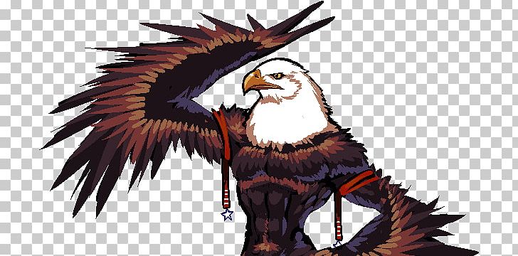 Eagle Fauna Feather Beak PNG, Clipart, Beak, Bird, Bird Of Prey, Eagle, Fauna Free PNG Download