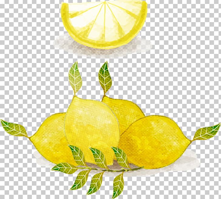 Lemonade Watercolor Painting PNG, Clipart, Citrus, Cooking, Food, Fruit, Fruit Nut Free PNG Download