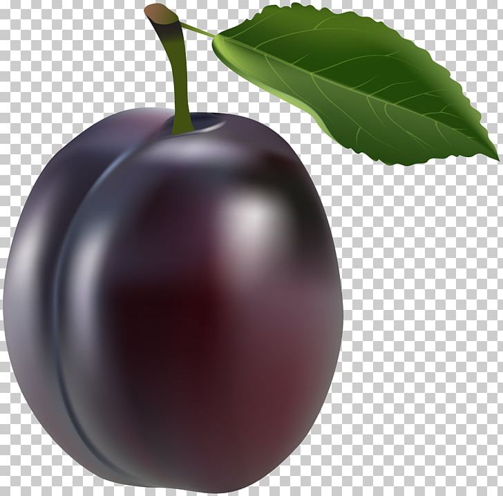 Prune Plum PNG, Clipart, Animated Film, Apple, Art Museum, Cherry, Download Free PNG Download