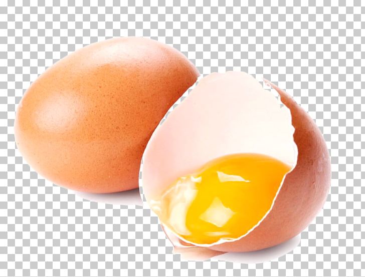 Yolk Eggnog Kogel Mogel Brik PNG, Clipart, Boiled Egg, Brik, Cake, Egg, Eggnog Free PNG Download