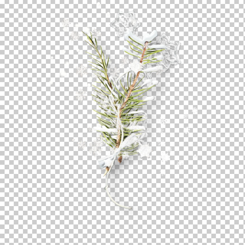 Branch White Pine Twig Plant Leaf PNG, Clipart, American Larch, Branch, Flower, Leaf, Lodgepole Pine Free PNG Download