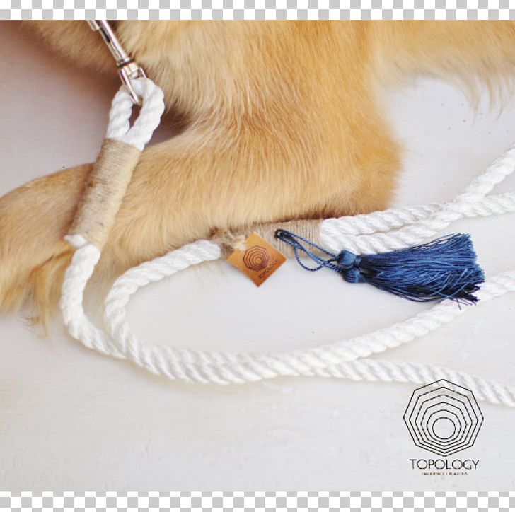 Dog Collar Leash Rope Lead PNG, Clipart, Animals, Blue, Climbing, Collar, Dog Free PNG Download