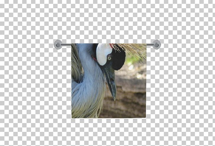 Fauna Beak Feather PNG, Clipart, Animals, Beak, Bird, Crane, Crane Like Bird Free PNG Download