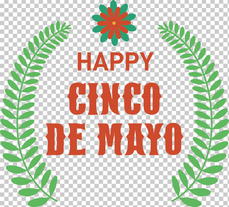 Cinco De Mayo Fifth Of May Mexico PNG, Clipart, Biology, Cinco De Mayo, Conifers, Fifth Of May, Geometry Free PNG Download
