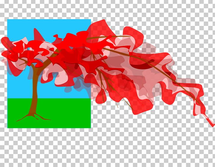 2018-01-15 Royal Poinciana Borinquen PNG, Clipart, 20180115, Flower, Flowering Plant, Others, Petal Free PNG Download