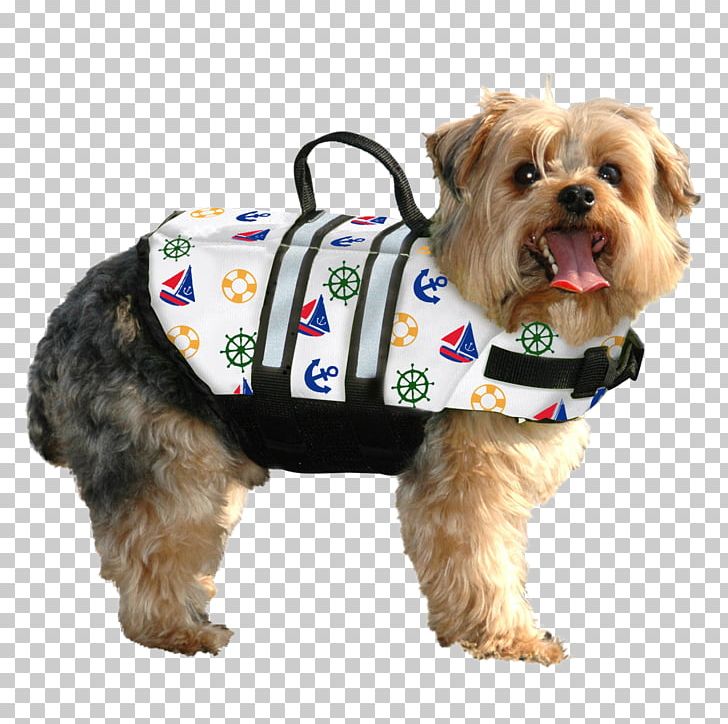 Dog Life Jackets Gilets Pet PNG, Clipart, Animals, Boating, Clothing, Coat, Companion Dog Free PNG Download