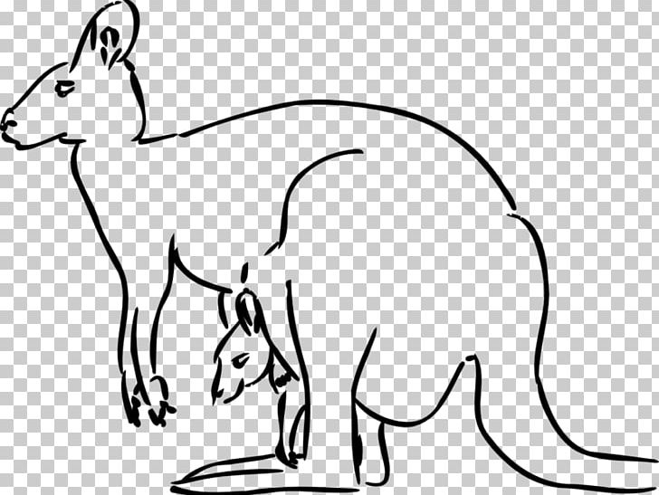 Kangaroo Black And White PNG, Clipart, Animals, Black And White, Blog, Carnivoran, Cat Free PNG Download