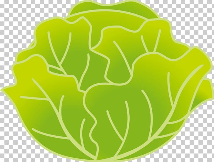 Leaf Vegetable Kohlrabi Cabbage Food PNG, Clipart, Bell Pepper, Brassica Juncea, Cabbage, Food, Green Free PNG Download