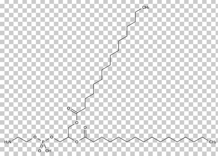 Dipalmitoylphosphatidylcholine Pulmonary Surfactant Phospholipid PNG, Clipart, Angle, Area, Black, Black And White, Diagram Free PNG Download