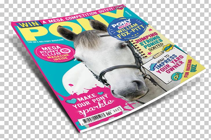 Horse PONY Magazine You Know How To Travel Animal PNG, Clipart, Advertising, Animal, Animals, Fear, Horse Free PNG Download