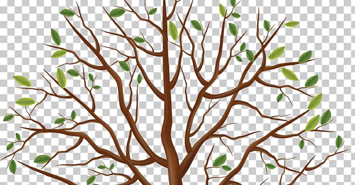 Tree Trunk PNG, Clipart, Branch, Flora, Flower, Flowering Plant, Fruit Tree Free PNG Download