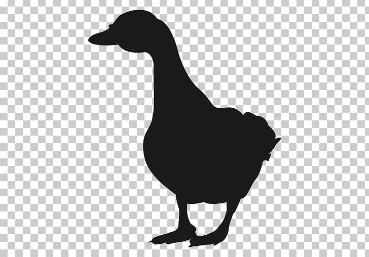 Duck Meat Goose Silhouette Drawing PNG, Clipart, Anatidae, Animals, Beak, Bird, Black And White Free PNG Download