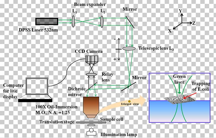 Line Angle Diagram PNG, Clipart, Angle, Area, Art, Ascites, Diagram Free PNG Download