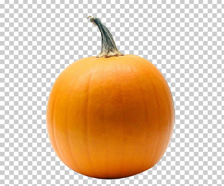 Pumpkin Calabaza Cincinnati Reds Gourd PNG, Clipart, Cincinnati, Cucumber Gourd And Melon Family, Cucurbita, Fruit, Gourd Order Free PNG Download