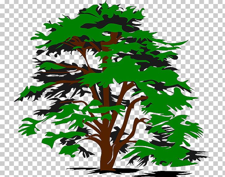 Tree Drawing PNG, Clipart, Art, Black And White, Branch, Drawing, Flowering Plant Free PNG Download