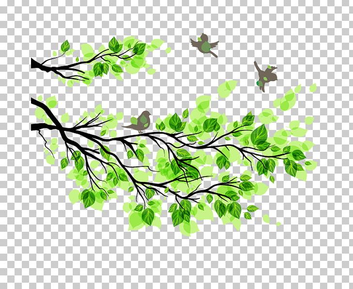 Branch Leaf Tree Illustration PNG, Clipart, Bird Cage, Branches, Cartoon, Clip Art, Color Free PNG Download