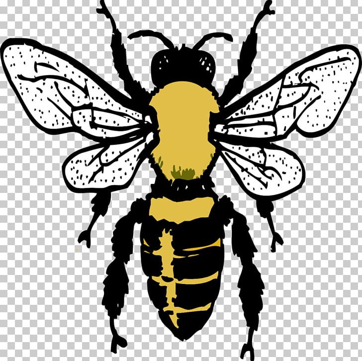 European Dark Bee Insect Drawing Beehive PNG, Clipart, Arthropod, Artwork, Bee, Beehive, Black And White Free PNG Download