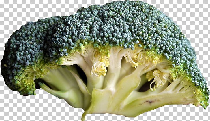 Organic Food Vegetable Broccoli Fruit PNG, Clipart, Broccoli, Broccoli 0 0 3, Broccoli Art, Broccoli Draw, Broccoli Sketch Free PNG Download