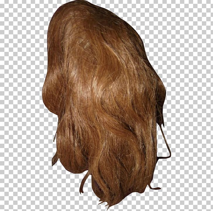 Brown Hair Hair Coloring Long Hair Wig PNG, Clipart, Brown, Brown Hair, Fur, Hair, Hair Coloring Free PNG Download