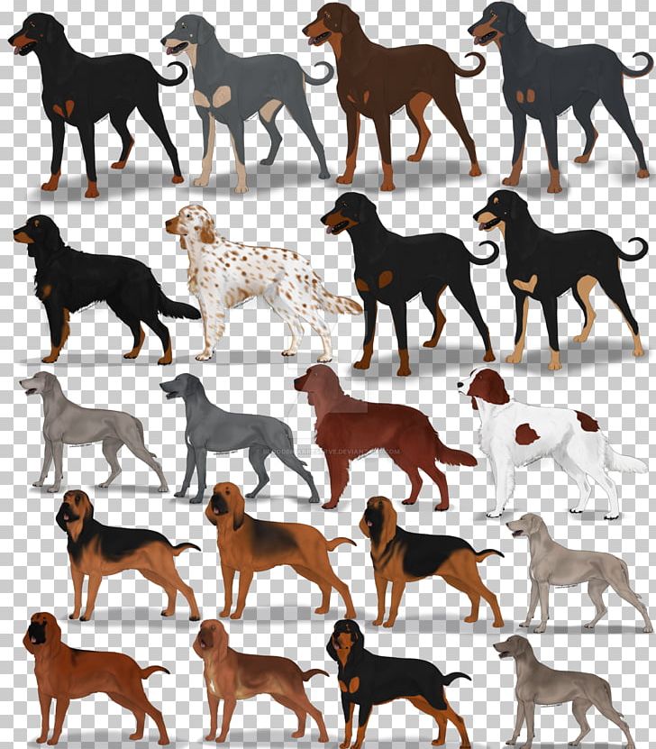 Dog Breed PNG, Clipart, Animals, Breed, Carnivoran, Dog, Dog Breed Free PNG Download