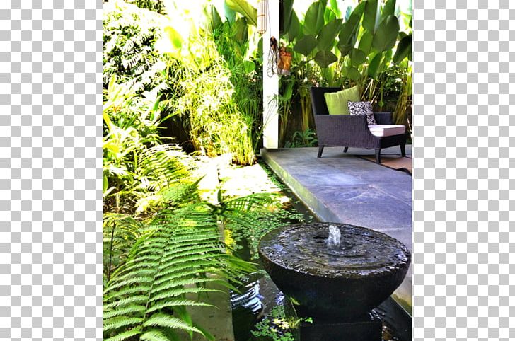 Backyard Water Feature Tree Lawn PNG, Clipart, Backyard, Courtyard, Flora, Flowerpot, Garden Free PNG Download