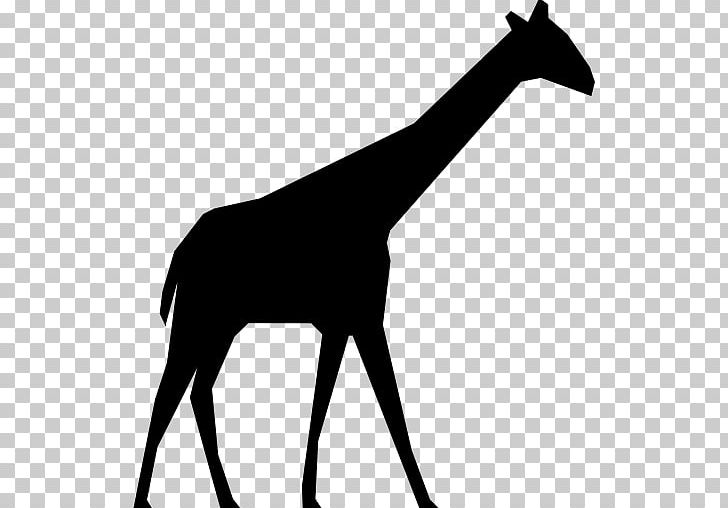 Giraffe Silhouette Computer Icons PNG, Clipart, Animals, Black And White, Computer Icons, Drawing, Encapsulated Postscript Free PNG Download