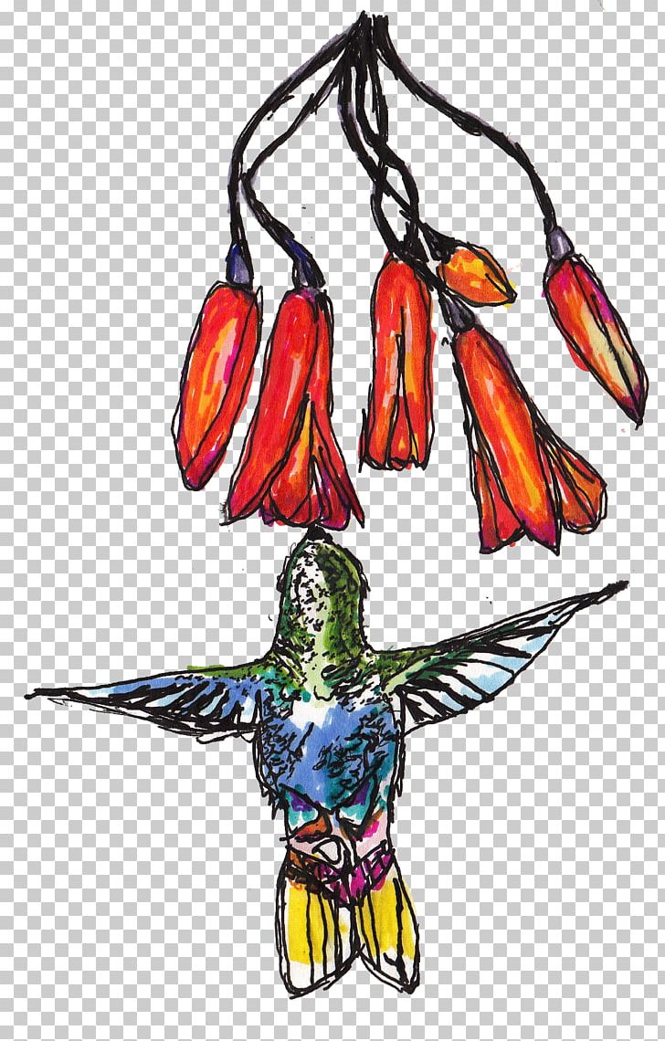 Macaw Costume Design Beak PNG, Clipart, Art, Beak, Bird, Character, Costume Free PNG Download