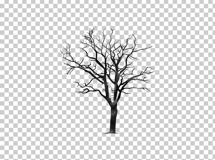 Woody Plant Monochrome Photography Twig Branch Tree PNG, Clipart, Black And White, Branch, Coconut Tree, Leaf, Line Free PNG Download