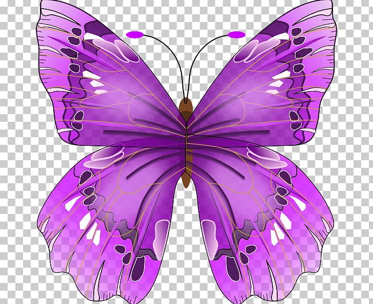 Butterfly Insect Craft Magnets PNG, Clipart, Arth, Brush Footed Butterfly, Bumper Sticker, Butterflies And Moths, Butterfly Watching Free PNG Download