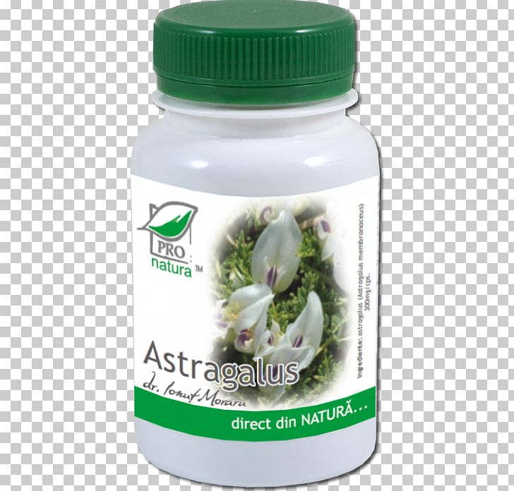 Dietary Supplement Tablet Huáng Qí Therapy Capsule PNG, Clipart, Adaptogen, Astragalus, Capsule, Cream, Dietary Supplement Free PNG Download