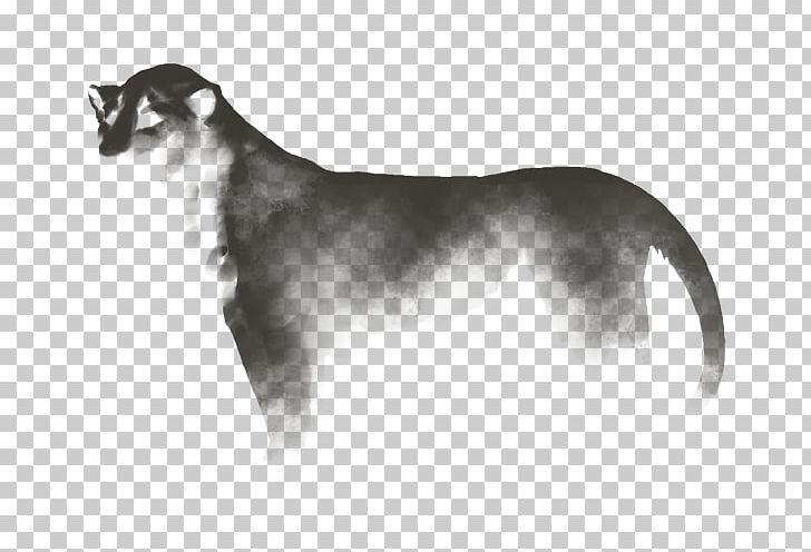 Dog Breed Cat Puppy Snout PNG, Clipart, Animals, Black And White, Black Cat, Breed, Canidae Free PNG Download